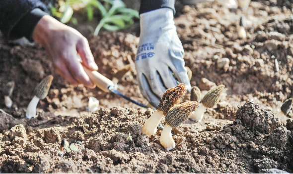 ScreenShot_2026-01-02_074348_622