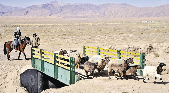 ScreenShot_2026-03-26_064956_306