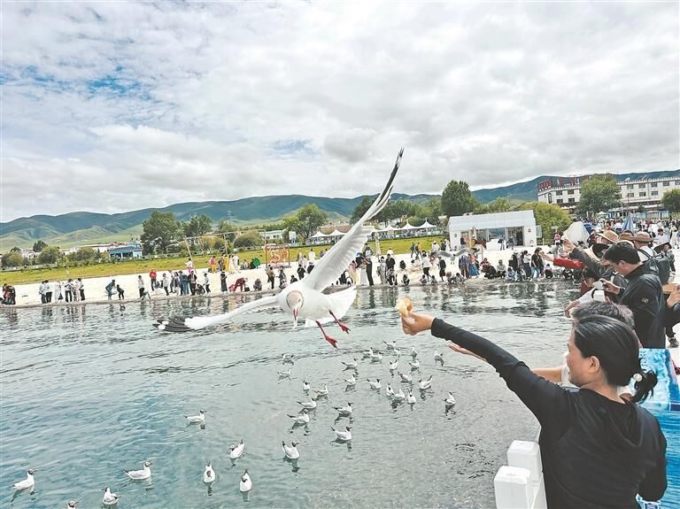 QQ图片20250814062018