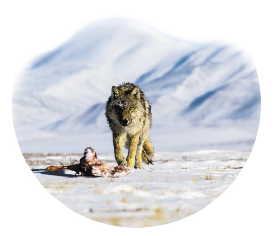 ScreenShot_2026-03-23_065612_683